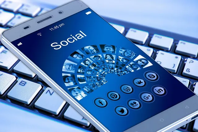 wordpress application mobile Application mobile wordpress